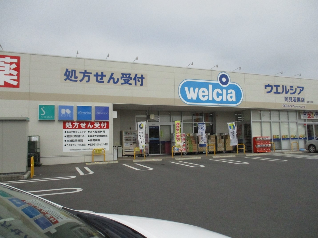 ドラックストア　ウェルシア阿見若栗店（ドラッグストア）まで313m