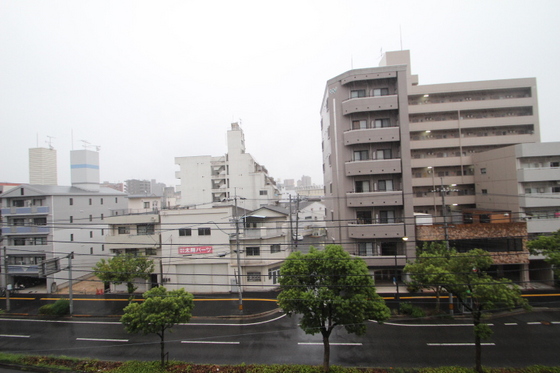 眺望　※別部屋の写真です