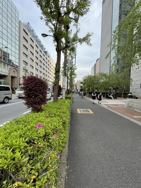 庭
