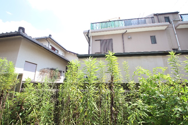 眺望　別室の参考写真の為、現況優先です。