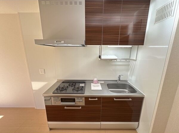 キッチン　素敵なシステムキッチン　何作る？