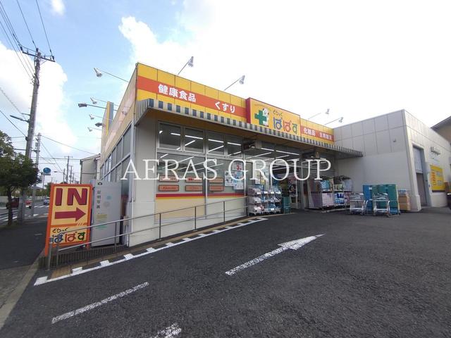 ドラックストア　どらっぐぱぱす 島根店（ドラッグストア）まで195m