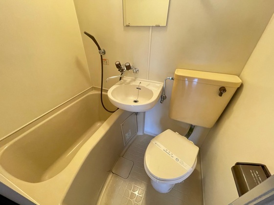 バス・シャワールーム　※別部屋のお写真です