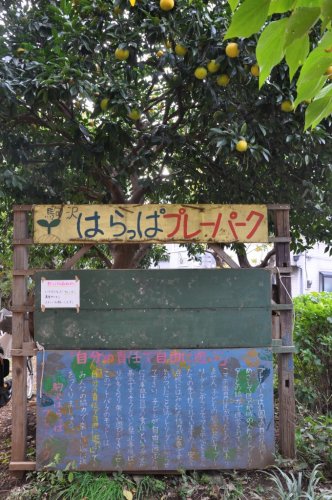 公園　駒沢はらっぱプレーパーク（公園）まで441m