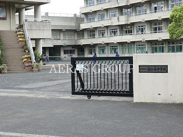 中学校　海老名市立柏ケ谷中学校（中学校）まで939m