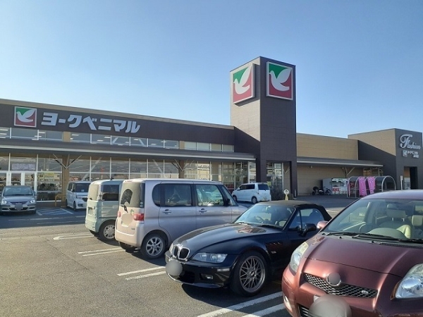 その他　ヨークタウン（その他）まで1300m