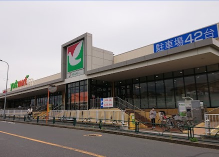 スーパー　ヨークマート 青戸店（スーパー）まで1008m