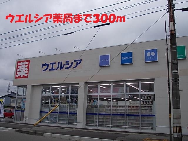 ドラックストア　ウエルシア薬局（ドラッグストア）まで300m