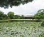 その他　渉成園（その他）まで540m