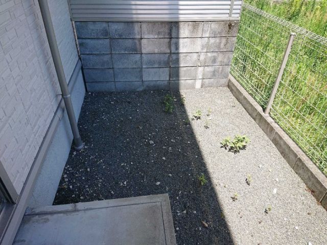 庭