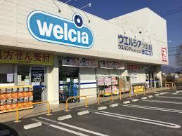 ドラックストア　ウエルシアつくば大穂店（ドラッグストア）まで717m