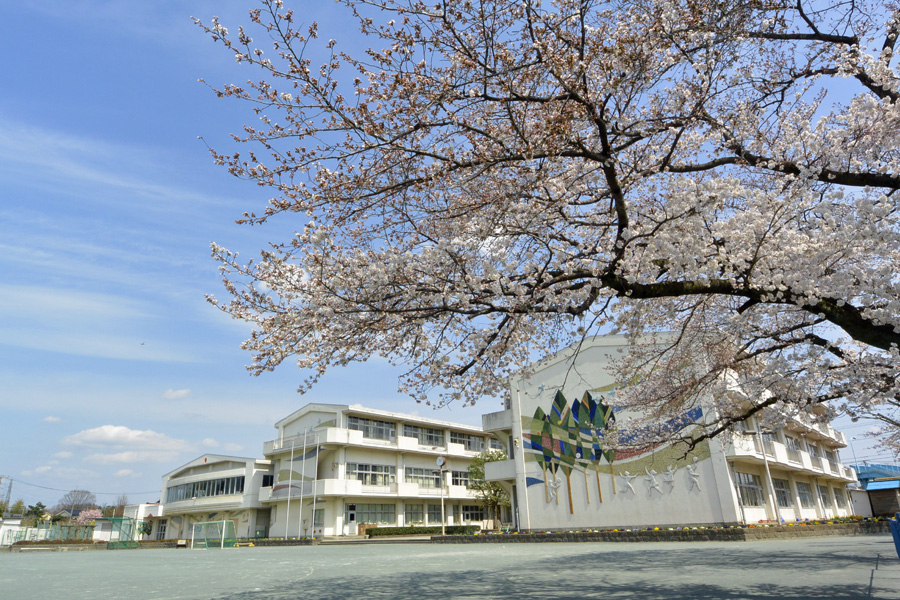 小学校　羽村市立羽村西小学校（小学校）まで541m