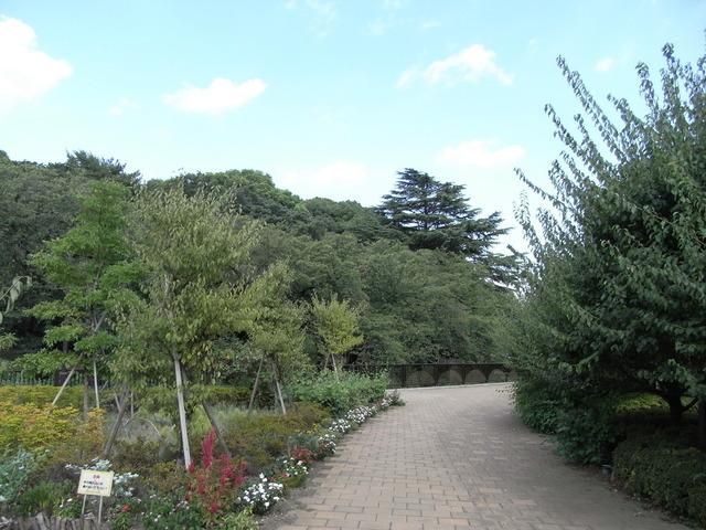 公園　哲学堂公園（公園）まで500m