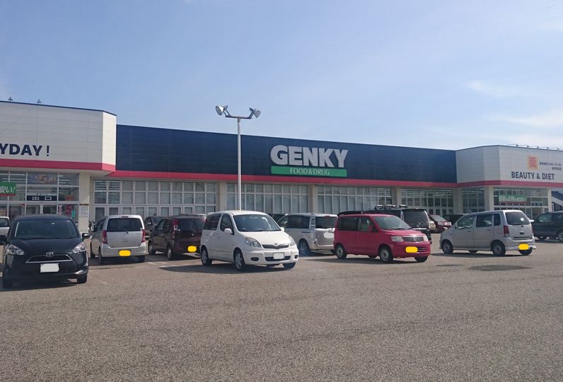 ドラックストア　ゲンキー金沢畝田店（ドラッグストア）まで955m