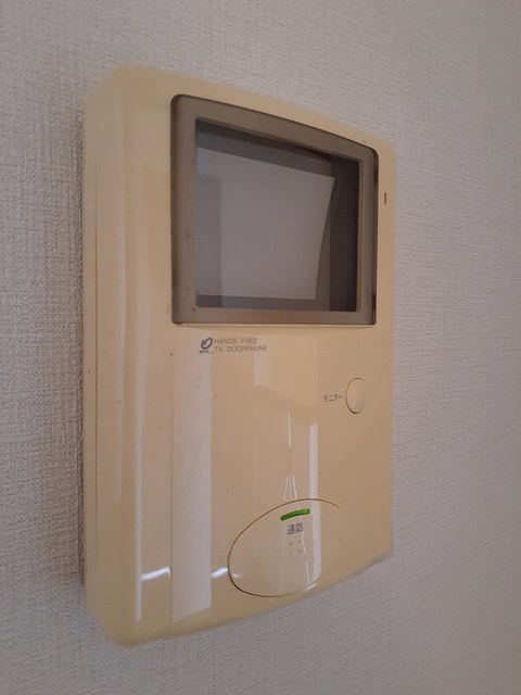 アレグラールIIのその他写真