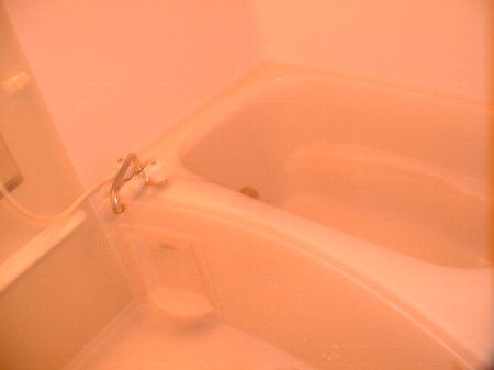 ネクサス立石の風呂写真