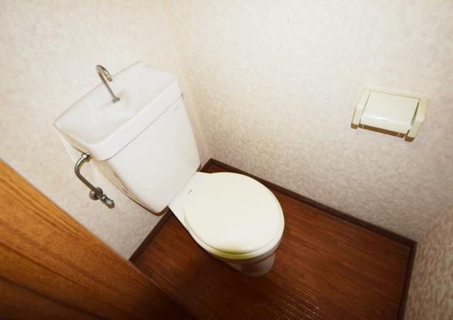 グランデロータス壱番館のトイレ写真