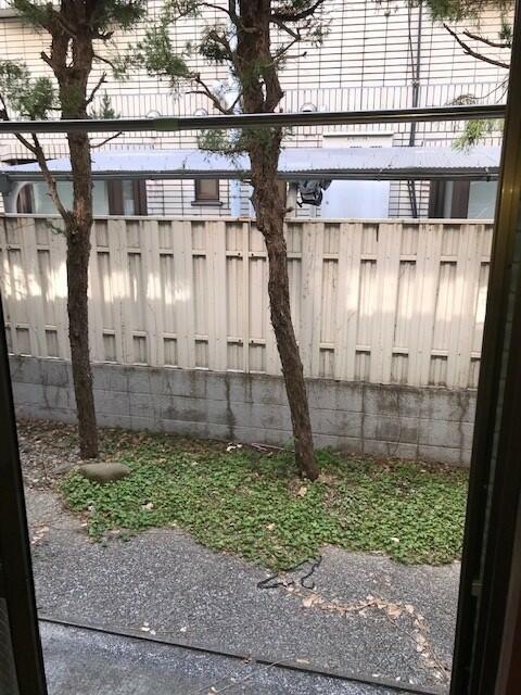 庭