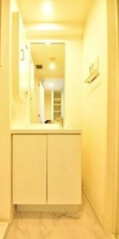 洗面設備　同仕様写真含む