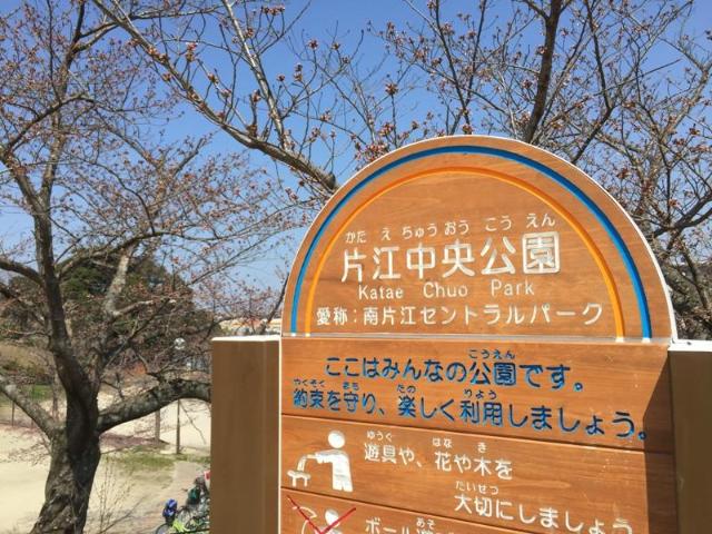 その他　片江中央公園（その他）まで593m
