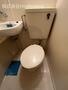 トイレ　トイレも気になるポイント