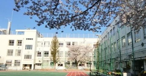 小学校　新宿区立江戸川小学校（小学校）まで506m