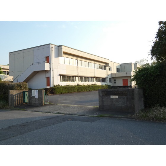 小学校　つくば市立手代木南小学校（小学校）まで278m