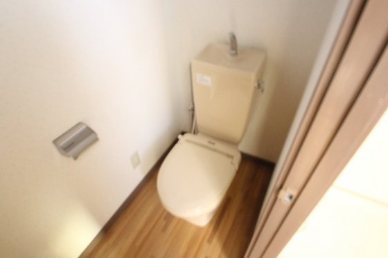 トイレ　※別号室の写真です