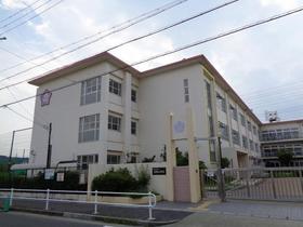 小学校