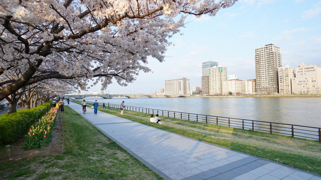 公園　信濃川やすらぎ提（公園）まで170m
