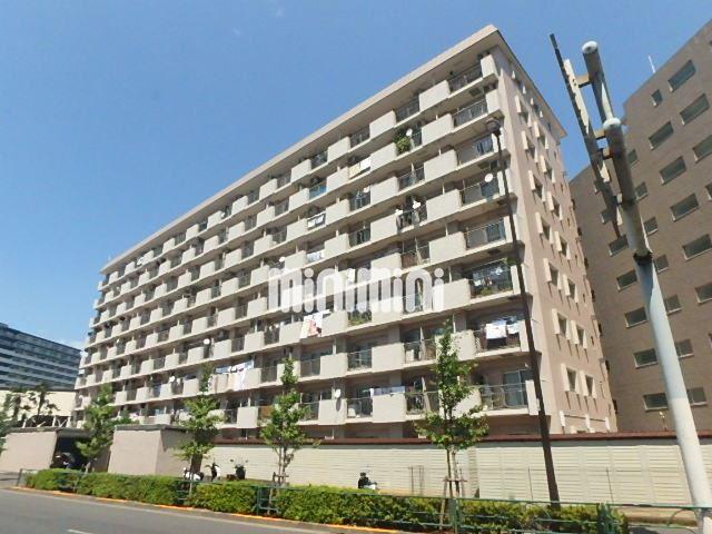 関屋ステーションハイツの建物外観