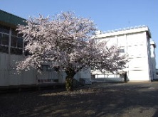 小学校　筑西市立大田小学校（小学校）まで1437m