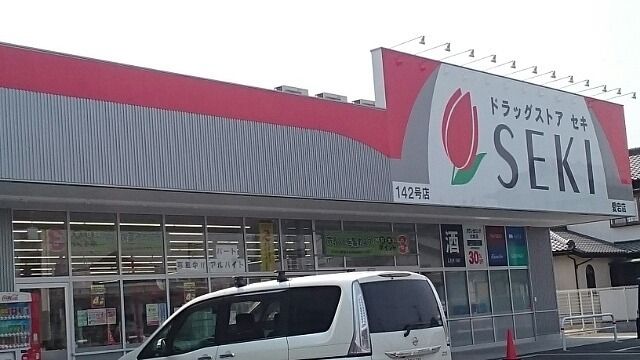 ドラックストア　ドラッグストアセキ愛宕店（ドラッグストア）まで800m