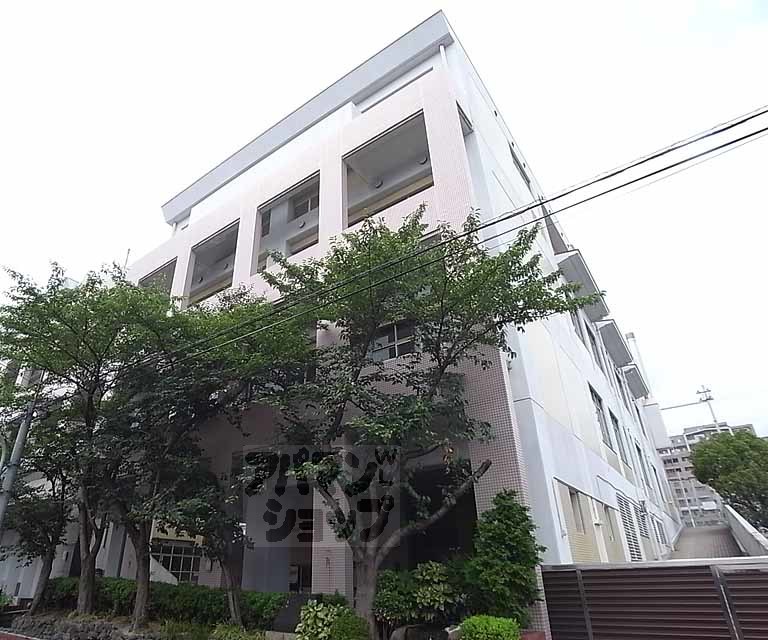小学校　洛央小学校（小学校）まで450m
