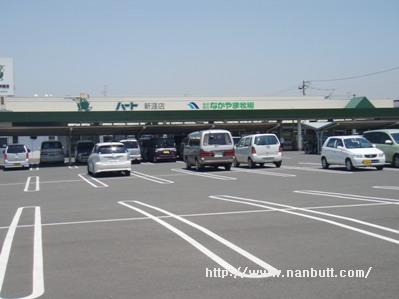 スーパー　なかやま牧場ハート新涯店（スーパー）まで399m
