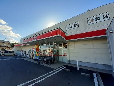 【高松市牟礼町牟礼のアパートのドラックストア】