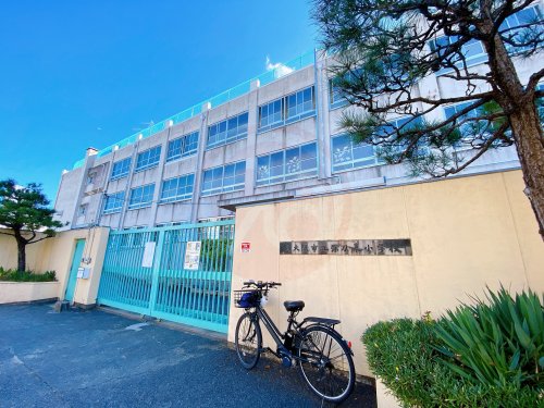 小学校　東大阪市立弥刀東小学校（小学校）まで427m