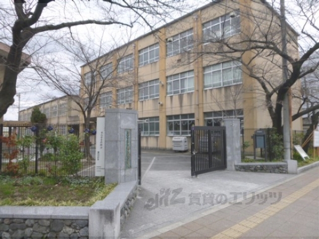 【京都市南区東九条松田町のマンションの小学校】