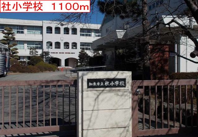 小学校　社小学校（小学校）まで1100m