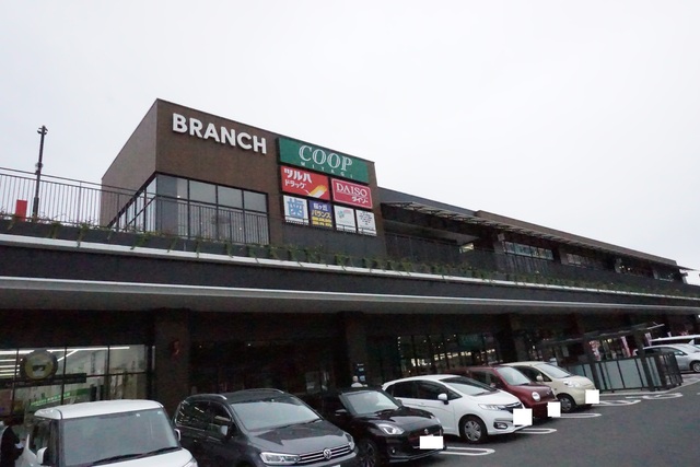 ショッピングセンター　ブランチ仙台（ショッピングセンター）まで1100m