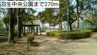 公園　羽生中央公園（公園）まで270m