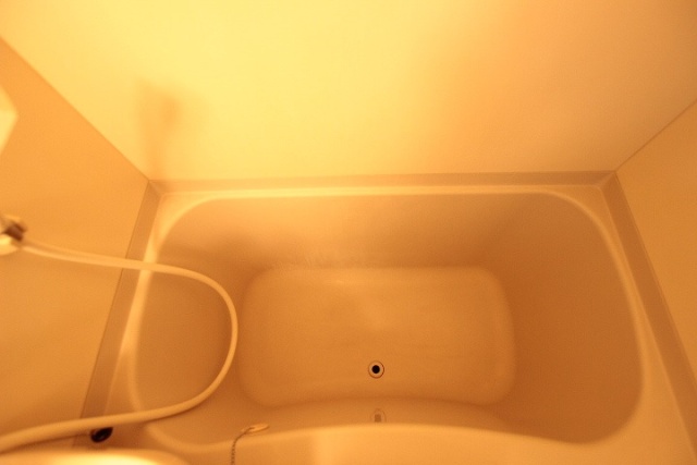 バス・シャワールーム　写真は別号室のものです。