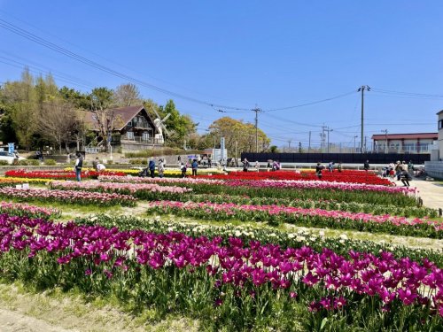 公園　北島中央公園（公園）まで346m