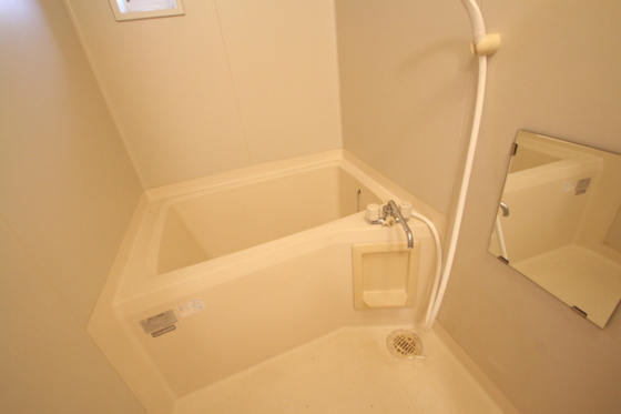 バス・シャワールーム　※別部屋の写真です