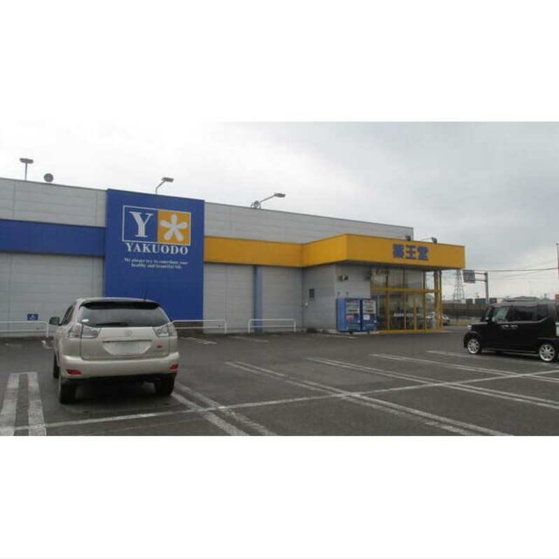 ドラックストア　薬王堂宮城柴田店（ドラッグストア）まで733m