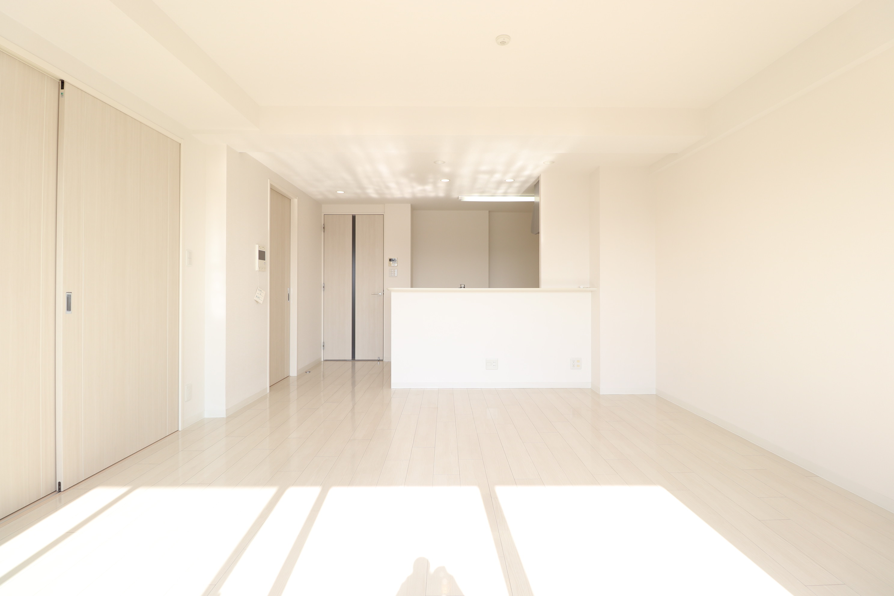 居室・リビング　南側LDKで、窓も大きく開放感抜群！