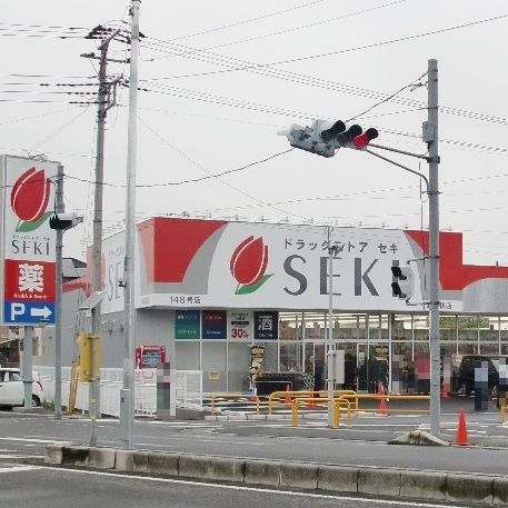 ドラックストア　ドラッグストアセキ新松伏店（ドラッグストア）まで1270m