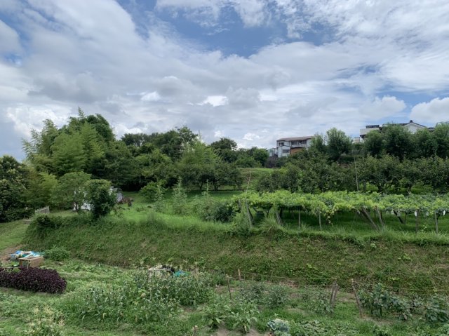 眺望　別部屋写真