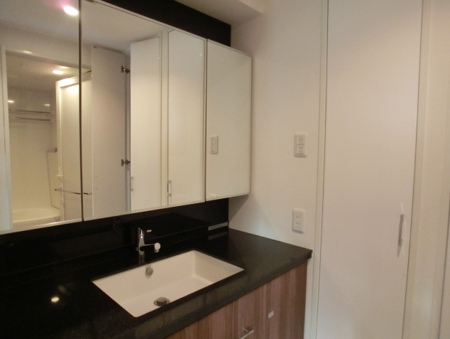 洗面設備　※別部屋の参考写真です。