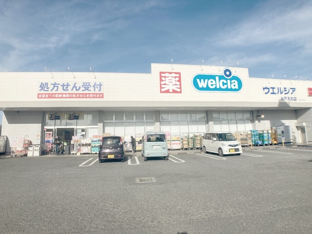 ドラックストア　ウエルシア水戸見和店（ドラッグストア）まで989m